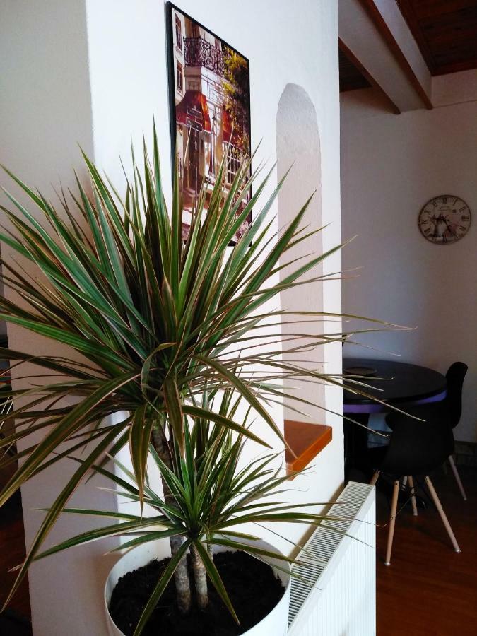 Appartement Lena's & Zoe's à Néa Péramos Extérieur photo